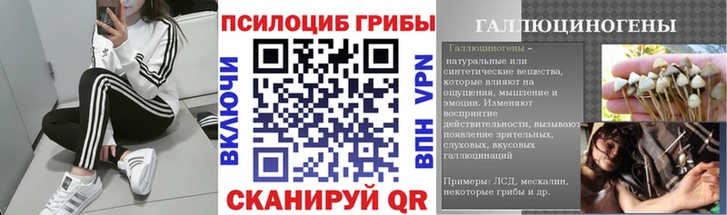 Псилоцибиновые грибы ЛСД  площадка наркотические препараты  Железногорск 